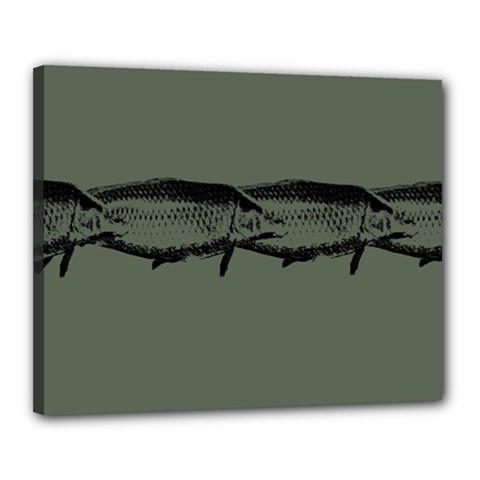 Carp Fish Canvas 20  X 16  (stretched) by kunstklamotte023