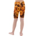 Pumpkins Tiny Gourds Pile Kids  Mid Length Swim Shorts View2