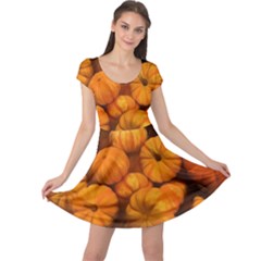 Pumpkins Tiny Gourds Pile Cap Sleeve Dress by bloomingvinedesign