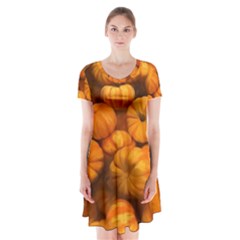 Pumpkins Tiny Gourds Pile Short Sleeve V-neck Flare Dress by bloomingvinedesign