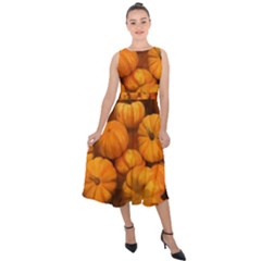 Pumpkins Tiny Gourds Pile Midi Tie-back Chiffon Dress by bloomingvinedesign