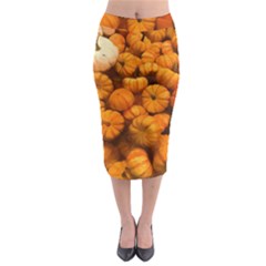 Pumpkins Tiny Gourds Pile Midi Pencil Skirt by bloomingvinedesign