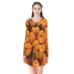 Pumpkins Tiny Gourds Pile Long Sleeve V-neck Flare Dress by bloomingvinedesign