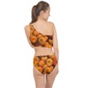 Pumpkins Tiny Gourds Pile Spliced Up Two Piece Swimsuit View2