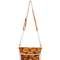 Pumpkins Tiny Gourds Pile Mini Crossbody Handbag