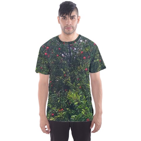 Apple Tree Close Up Men s Sports Mesh Tee by bloomingvinedesign