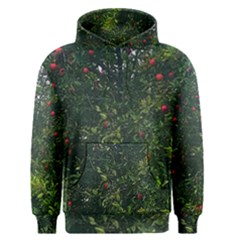 Apple Tree Close Up Men s Pullover Hoodie by bloomingvinedesign