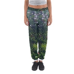 Apple Tree Close Up Women s Jogger Sweatpants by bloomingvinedesign