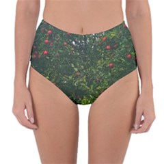 Apple Tree Close Up Reversible High-waist Bikini Bottoms by bloomingvinedesign