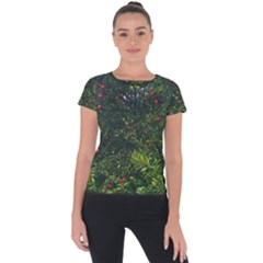 Apple Tree Close Up Short Sleeve Sports Top  by bloomingvinedesign