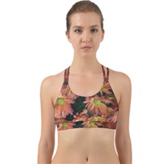 Cream And Pink Fall Flowers Back Web Sports Bra