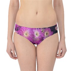 Pink Mums Garden Hipster Bikini Bottoms by bloomingvinedesign