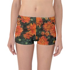 Orange Fall Mums Reversible Boyleg Bikini Bottoms by bloomingvinedesign