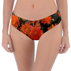 Orange Fall Mums Reversible Classic Bikini Bottoms by bloomingvinedesign