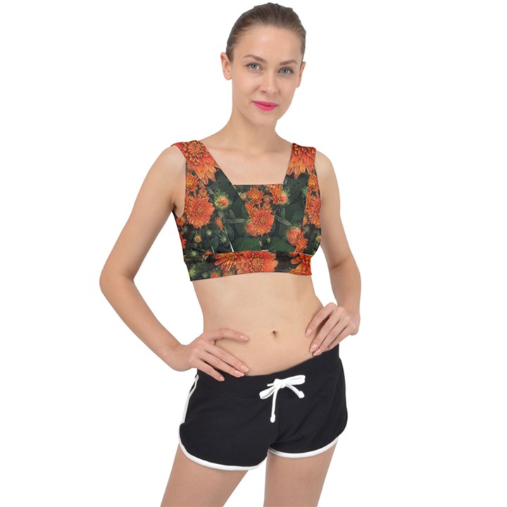 Orange Fall Mums V-Back Sports Bra