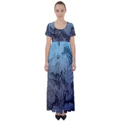 Window Frost High Waist Short Sleeve Maxi Dress by bloomingvinedesign