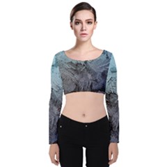 Window Frost Velvet Long Sleeve Crop Top