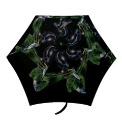 Plums Photo Art Fractalius Fruit Mini Folding Umbrellas by Sapixe