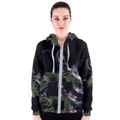 Plums Photo Art Fractalius Fruit Women s Zipper Hoodie by Sapixe