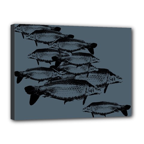 Carp Fish Canvas 16  X 12  (stretched) by kunstklamotte023