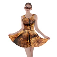 Olive Wood Wood Grain Structure Skater Dress by Sapixe