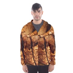 Olive Wood Wood Grain Structure Hooded Windbreaker (men) by Sapixe