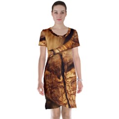 Olive Wood Wood Grain Structure Short Sleeve Nightdress by Sapixe