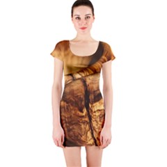 Olive Wood Wood Grain Structure Short Sleeve Bodycon Dress by Sapixe