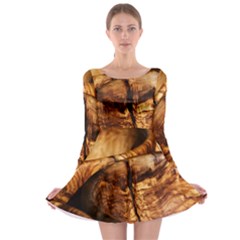 Olive Wood Wood Grain Structure Long Sleeve Skater Dress by Sapixe