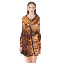 Olive Wood Wood Grain Structure Long Sleeve V-neck Flare Dress by Sapixe