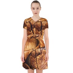 Olive Wood Wood Grain Structure Adorable In Chiffon Dress by Sapixe