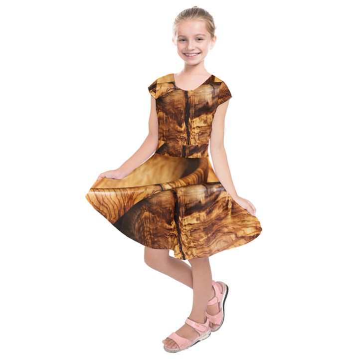 Olive Wood Wood Grain Structure Kids  Short Sleeve Dress