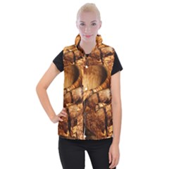 Olive Wood Wood Grain Structure Women s Button Up Vest by Sapixe