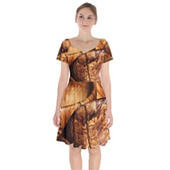 Olive Wood Wood Grain Structure Short Sleeve Bardot Dress by Sapixe