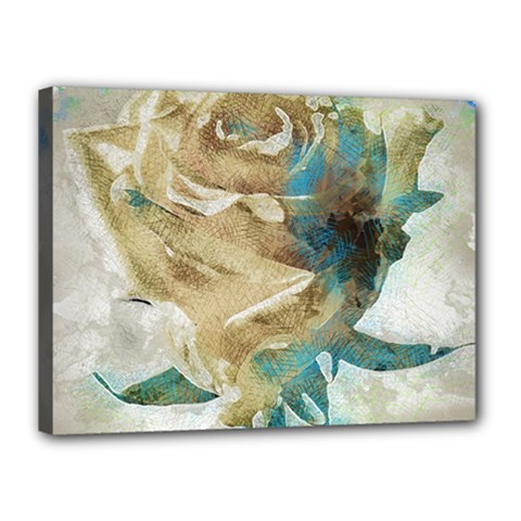 Rose Flower Petal Love Romance Canvas 16  X 12  (stretched) by Sapixe