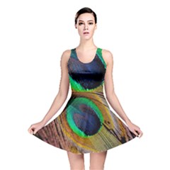 Bird Feather Background Nature Reversible Skater Dress