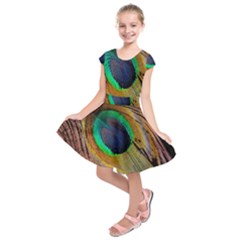 Bird Feather Background Nature Kids  Short Sleeve Dress