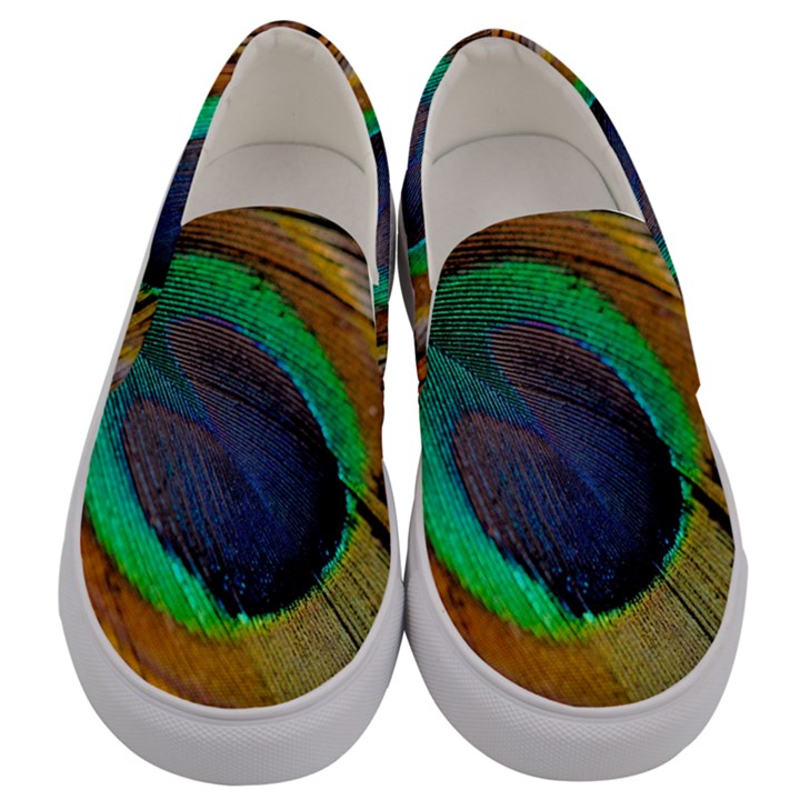 Bird Feather Background Nature Men s Canvas Slip Ons