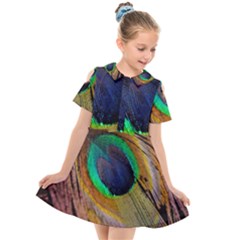 Bird Feather Background Nature Kids  Short Sleeve Shirt Dress