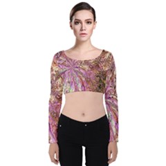 Background Swirl Art Abstract Velvet Long Sleeve Crop Top by Sapixe