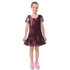 Wordsworth Red Mix 2 Kids  Short Sleeve Velvet Dress by DeneWestUK