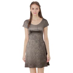 Wordsworth Grey Mix Short Sleeve Skater Dress by DeneWestUK