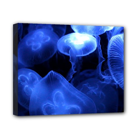 Jellyfish Sea Diving Sea Animal Canvas 10  X 8  (stretched) by Sapixe