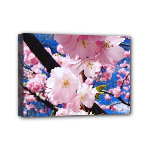 Flower Cherry Wood Tree Flowers Mini Canvas 7  X 5  (stretched) by Sapixe