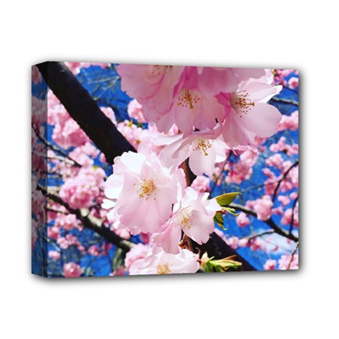 Flower Cherry Wood Tree Flowers Deluxe Canvas 14  X 11  (stretched) by Sapixe