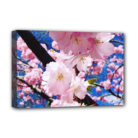 Flower Cherry Wood Tree Flowers Deluxe Canvas 18  X 12  (stretched) by Sapixe