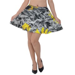 Sunflower Field Girasol Sunflower Velvet Skater Skirt by Sapixe