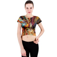 Hbz517a Crew Neck Crop Top by HoundB