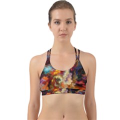 Hbz517a Back Web Sports Bra