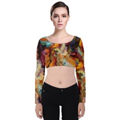 Hbz517a Velvet Long Sleeve Crop Top by HoundB